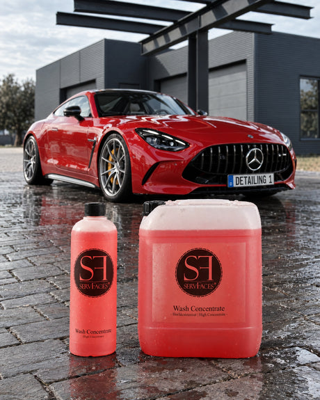 servFaces Wash Concentrate (High-Concentrate) 1000 ml / 1 litre et 10 litres sur des pavés mouillés après le lavage